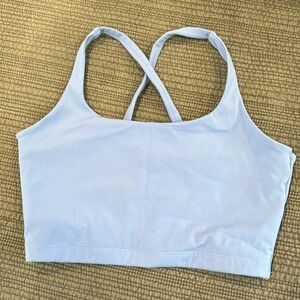 Light Blue/Purple Alphalete Sports Bra